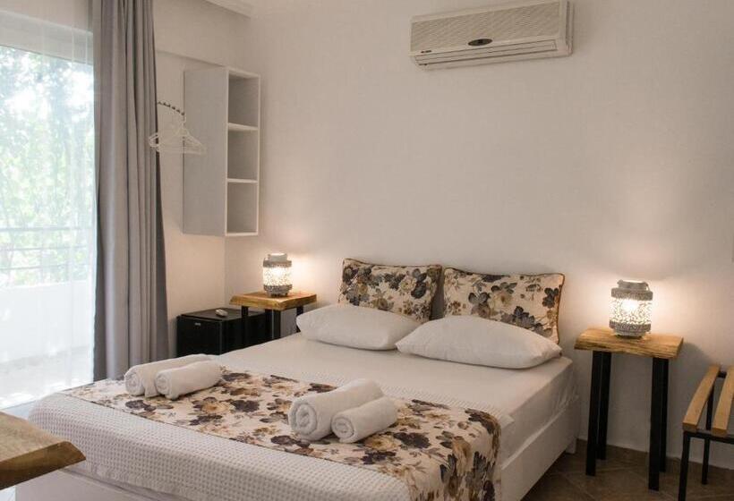 Номер Стандарт, Pataros