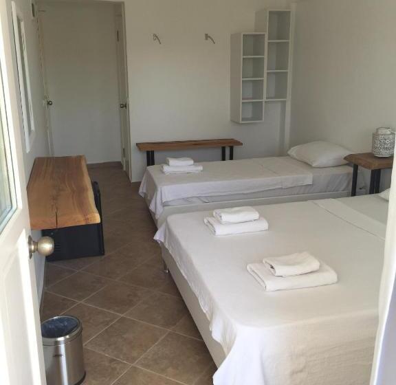 Номер Стандарт Трехместный, Pataros