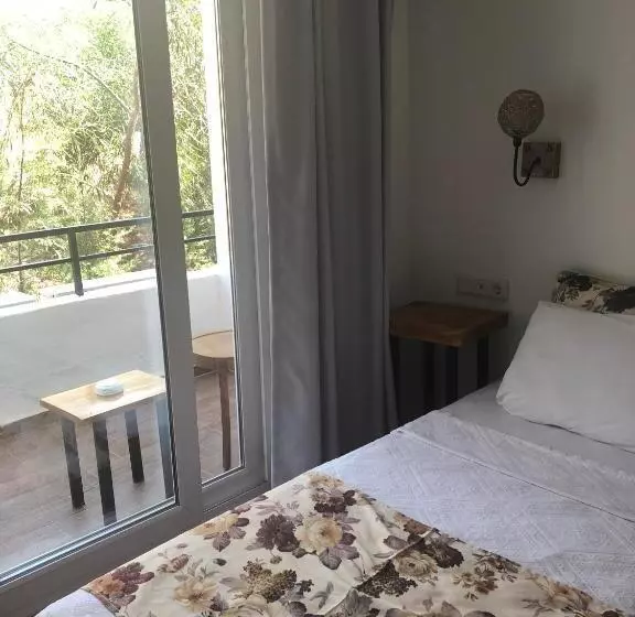 اتاق اکونومی, Pataros