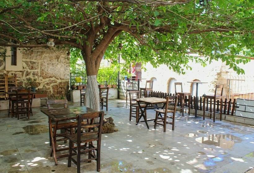 اتاق استاندارد چهار تخته, White City Pension