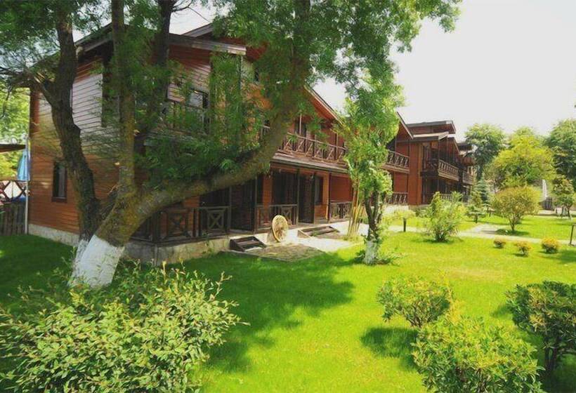 اتاق راحتی, Robin S Nest