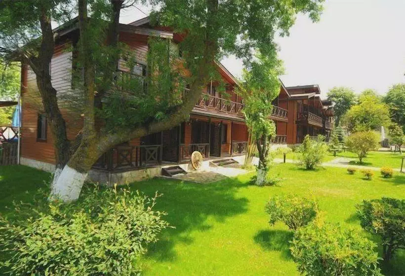 اتاق راحتی, Robin S Nest