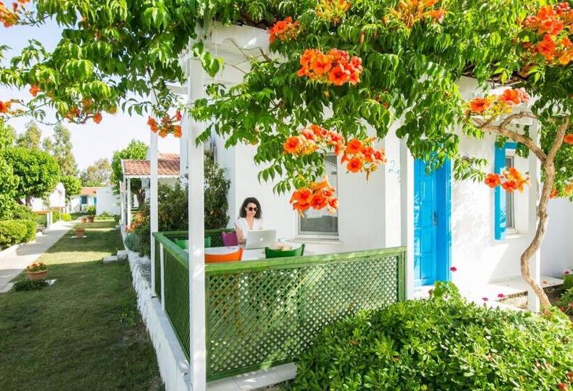 Suíte, Teos Ormanci Tatil Koyu