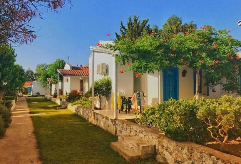 Suíte, Teos Ormanci Tatil Koyu