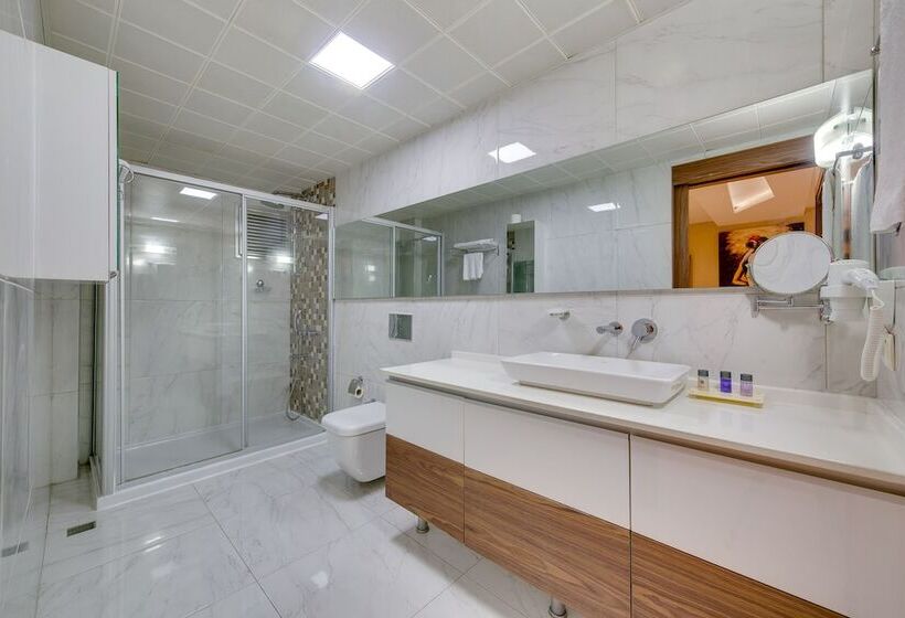 발코니가 있는 스위트, Concept Suites