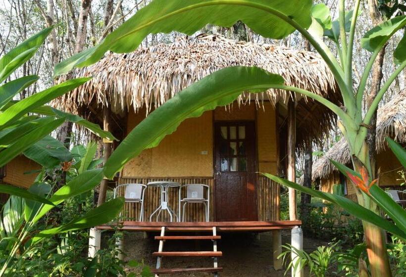 豪华洋房, Rabbit Bungalow