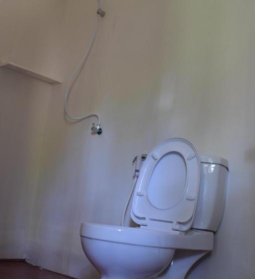 豪华洋房, Rabbit Bungalow