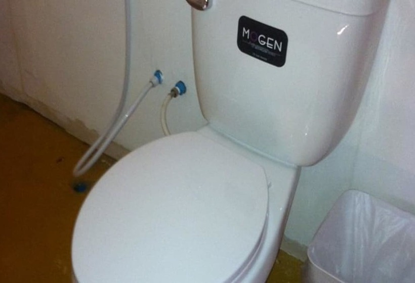 标准平房, Rabbit Bungalow