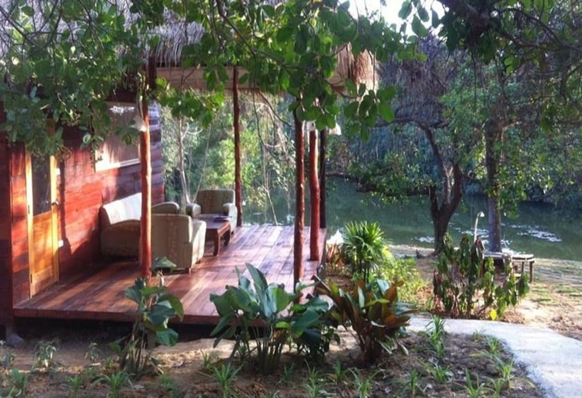 标准平房, Rabbit Bungalow