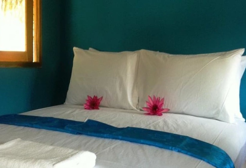 标准平房, Rabbit Bungalow