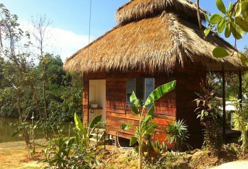 标准平房, Rabbit Bungalow