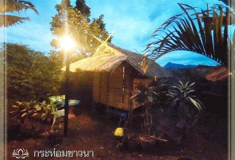 Бунгало Стандарт, Bua Patumma Resort