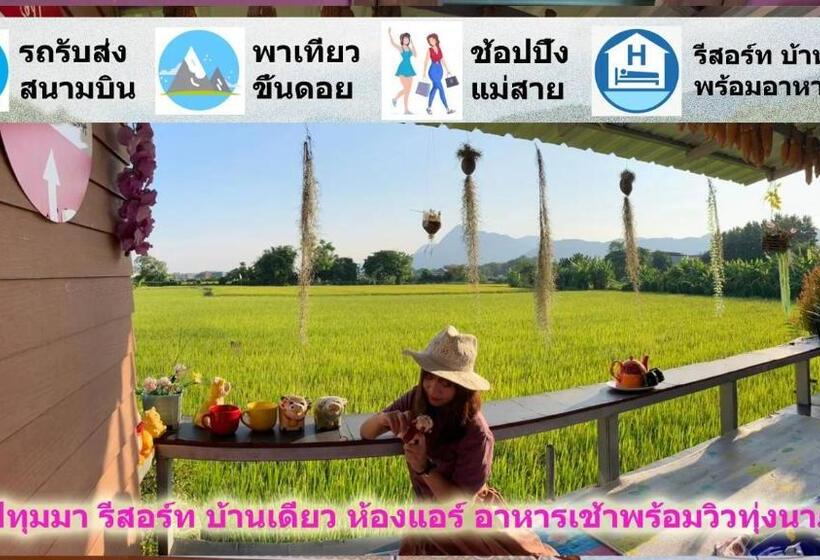 Бунгало Стандарт, Bua Patumma Resort