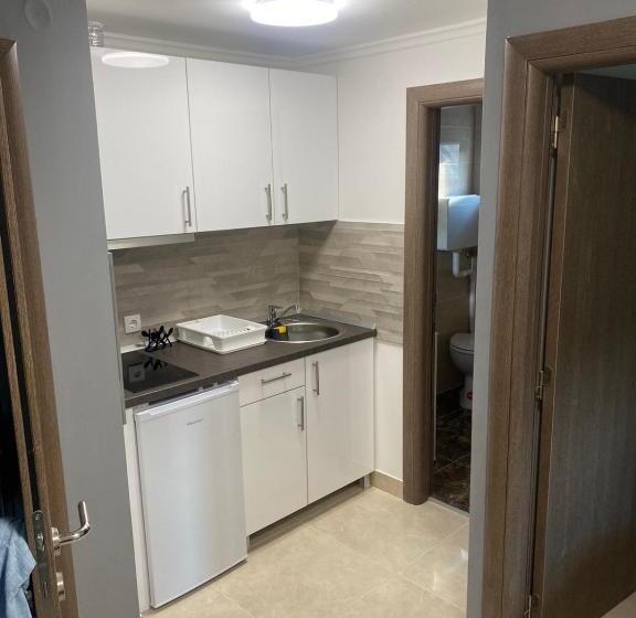 آپارتمان لوکس 1 خوابه, Vila Boska Palic