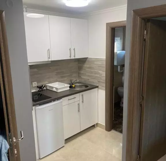 آپارتمان لوکس 1 خوابه, Vila Boska Palic