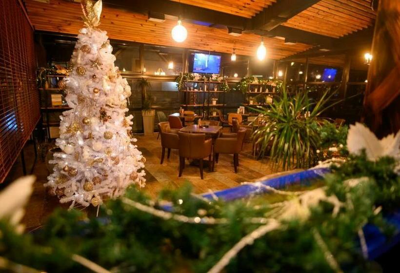 اتاق استاندارد چهارنفره با بالکن, Hostel Royal