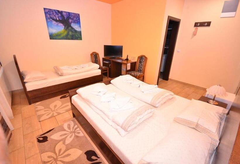 اتاق کلاسیک سه تخته, Lane