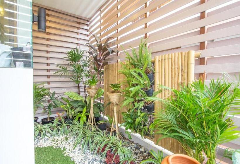 סוויטה, Mamaison