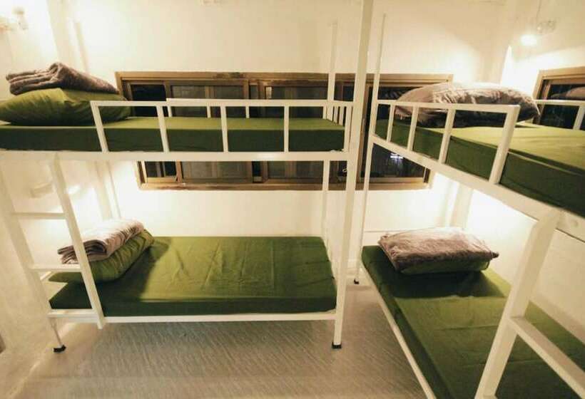 Cama em Quarto Compartilhado, Mint Hostel
