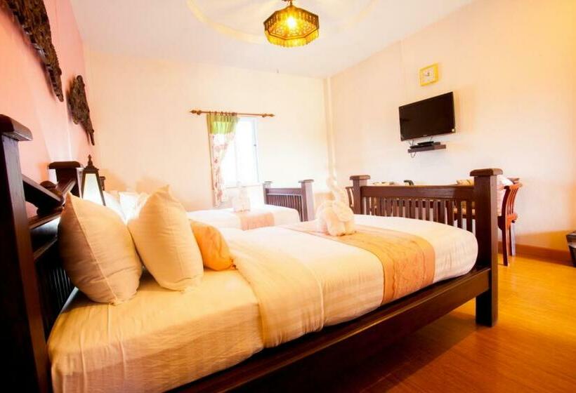 Номер Стандарт, P.paradise