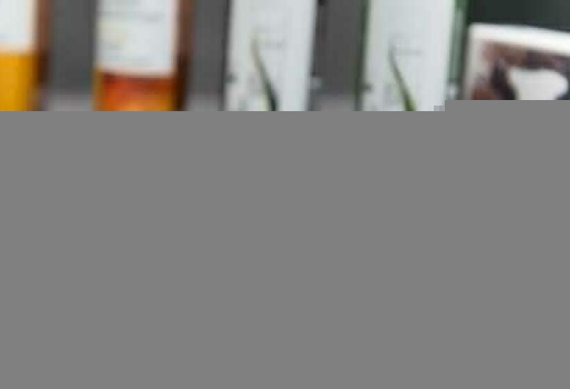 Habitació Quàdruple Estàndard, 360 Degrees