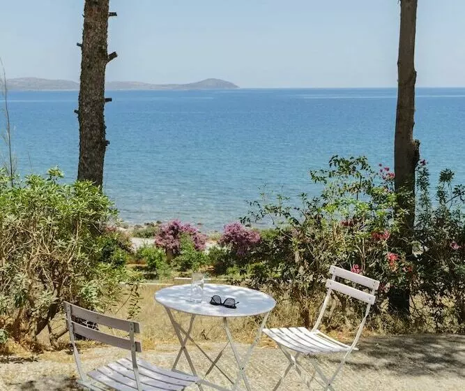 クラシックルーム, Douka Seafront Residences