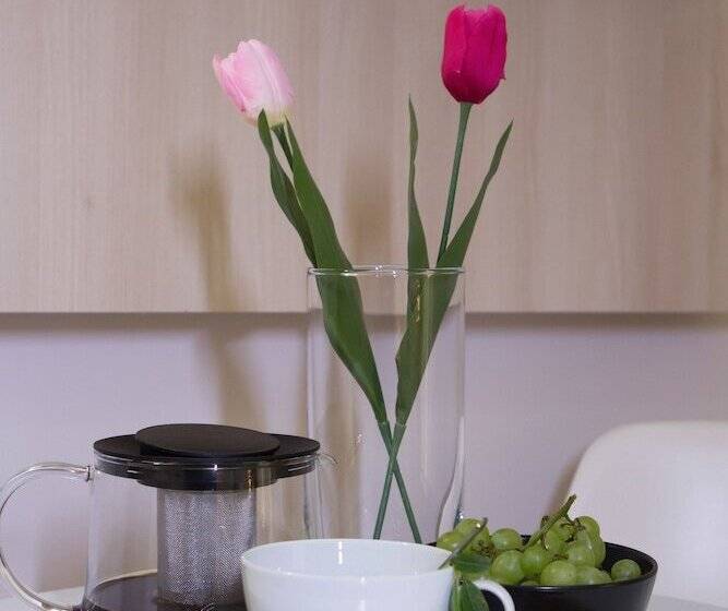 إستوديو قياسى, Polis Apartments