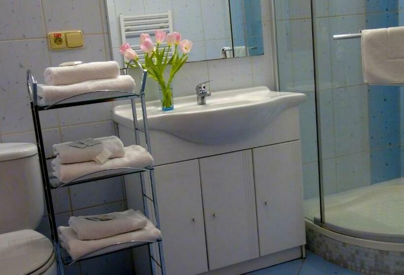 스탠다드 발코니 룸, Family Hotel Maxim