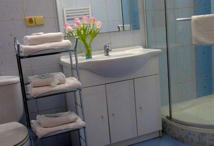 Номер Стандарт Трехместный, Family Hotel Maxim