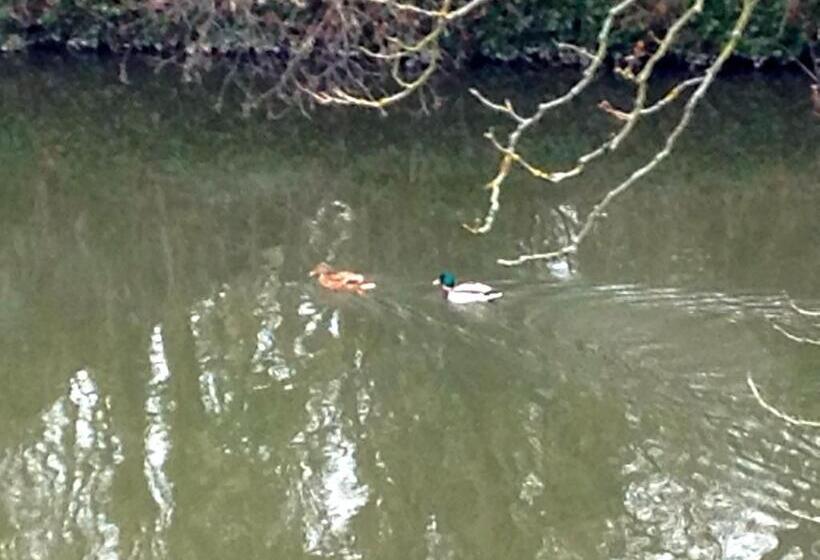 이코노미 트리플 룸, Family Hotel Maxim