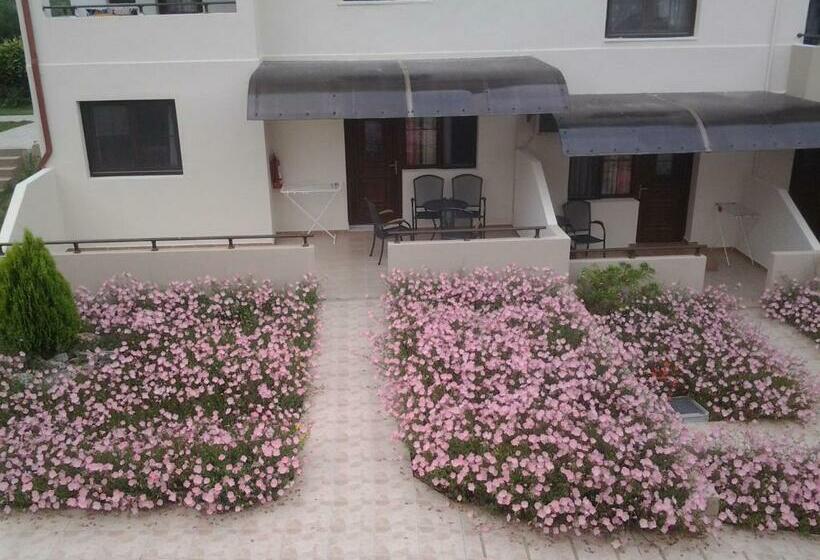 חדר סטודיו סטנדרד, Amari