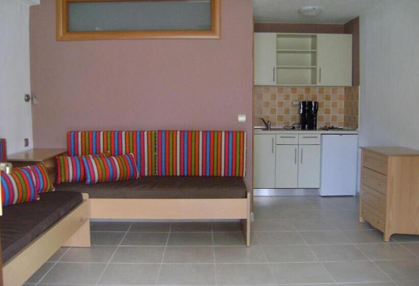 דירת חדר סופריור, Amari