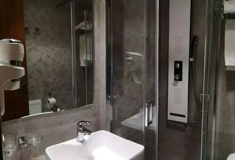 Standard Room Mountain View