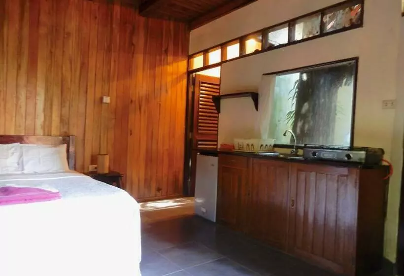 استودیوی استاندارد, La Casa Fitzcarraldo