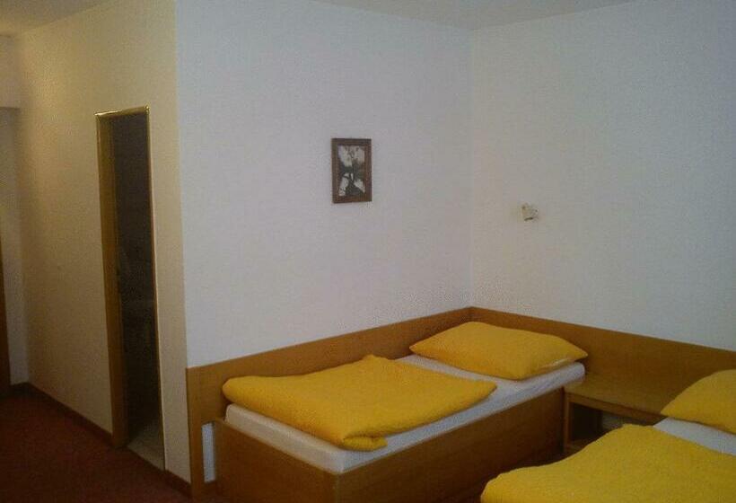 スタンダードルーム, Pelikan