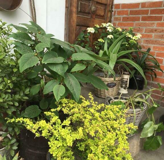 דירת חדר, Pension Laura