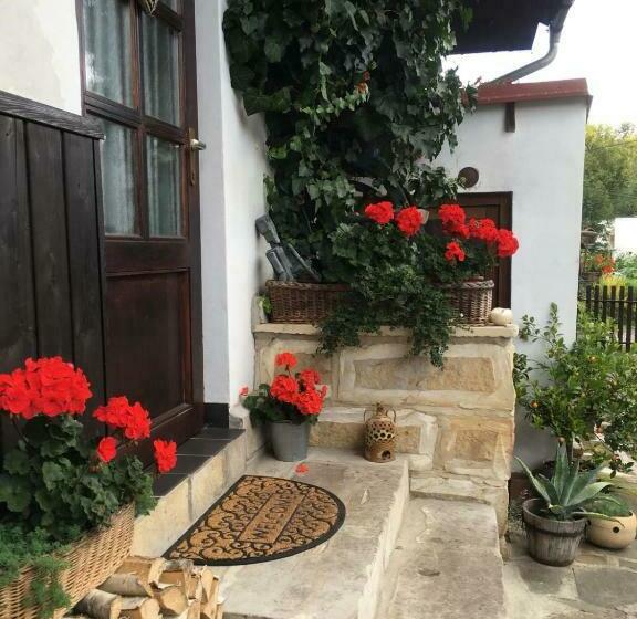 דירת חדר, Pension Laura