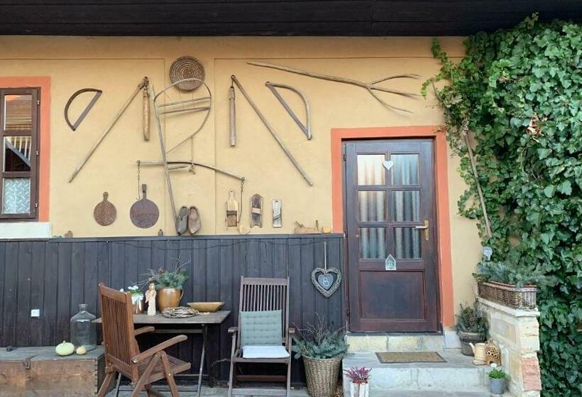 דירת חדר, Pension Laura