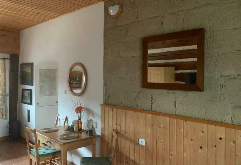 דירת חדר, Pension Laura