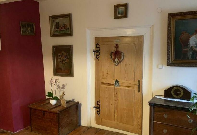 דירת חדר, Pension Laura