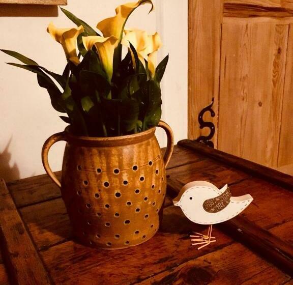 דירת חדר, Pension Laura