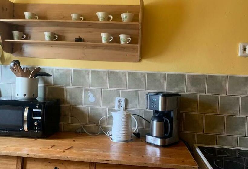 דירת חדר, Pension Laura