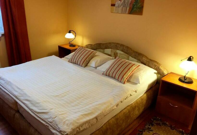 标准间, Penzion U Golema Blansko