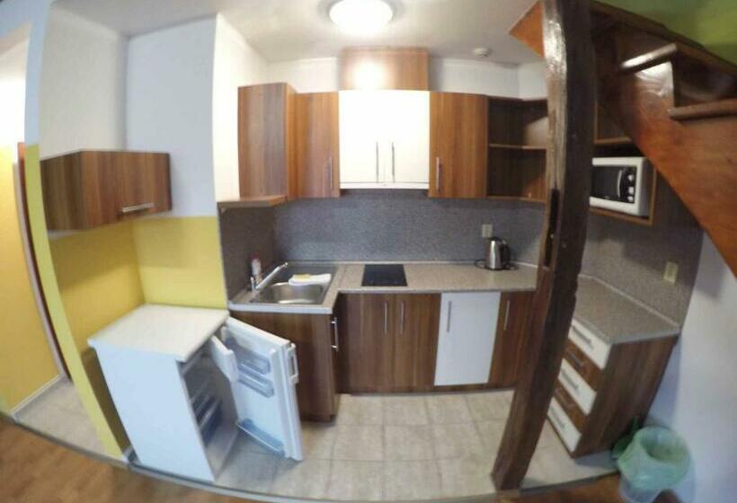 דירת חדר דלוקס, Penzion U Holuba