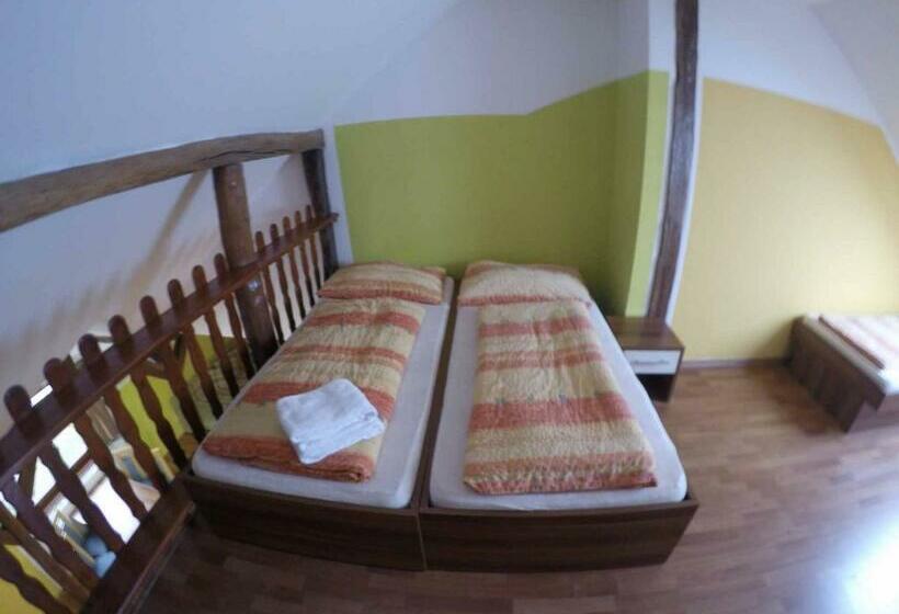Апартаменты Deluxe 1 Спальня, Penzion U Holuba