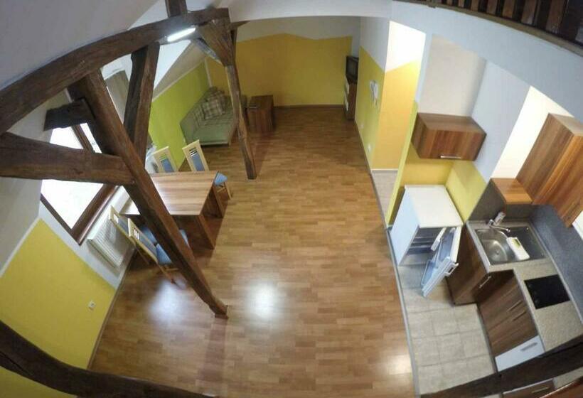 דירת חדר דלוקס, Penzion U Holuba