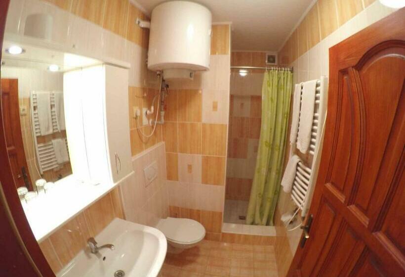 דירת חדר דלוקס, Penzion U Holuba