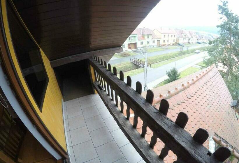 דירת חדר דלוקס, Penzion U Holuba