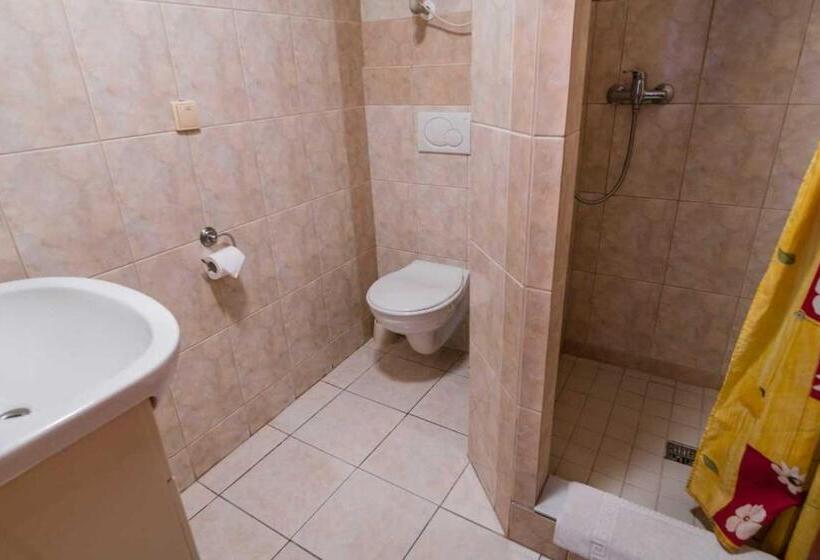 חדר סטודיו סטנדרד, Penzion U Holuba