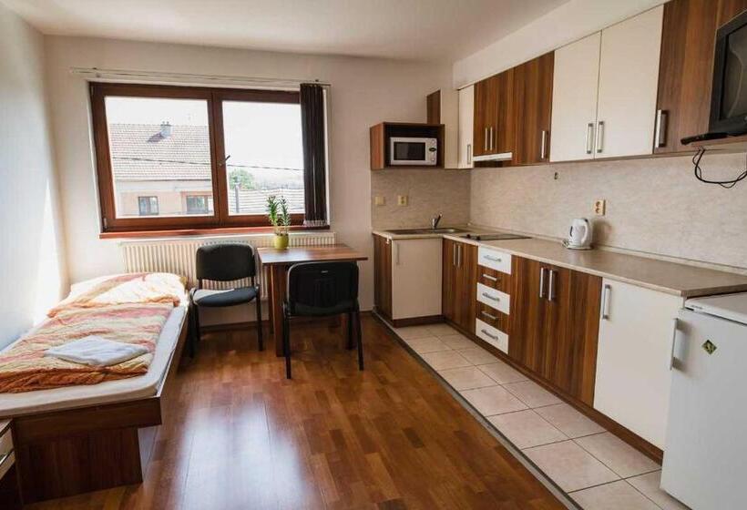 חדר סטודיו סטנדרד, Penzion U Holuba